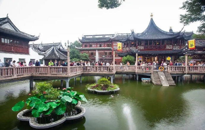 微信截图_20250624145855